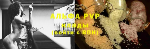 Альфа ПВП Белокуриха