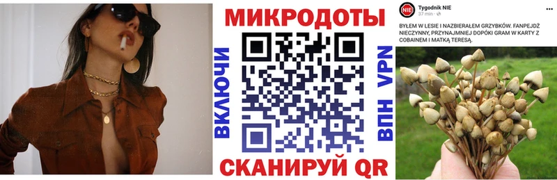 где купить наркотик  Александровское  Галлюциногенные грибы Magic Shrooms 